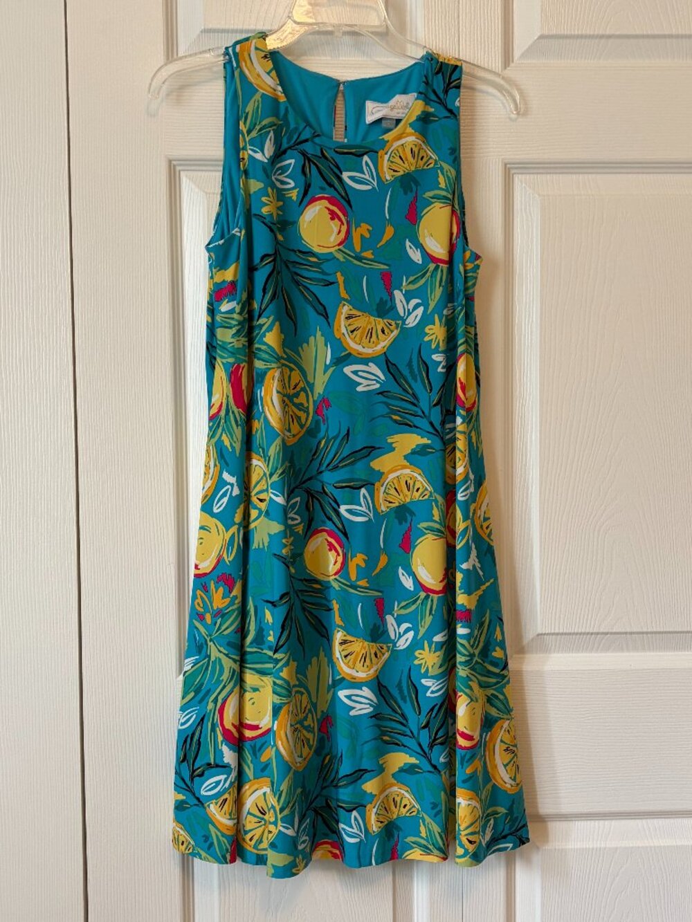 Pappagallo Sleeveless Azure Citrus Print Swing Dress